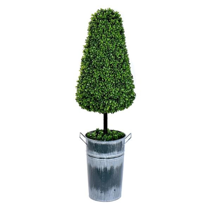 Topiary Cone Boxwood, 37″