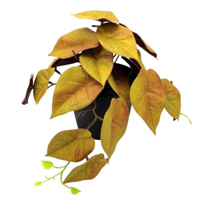 Yellow Greenery in Pot, 6″