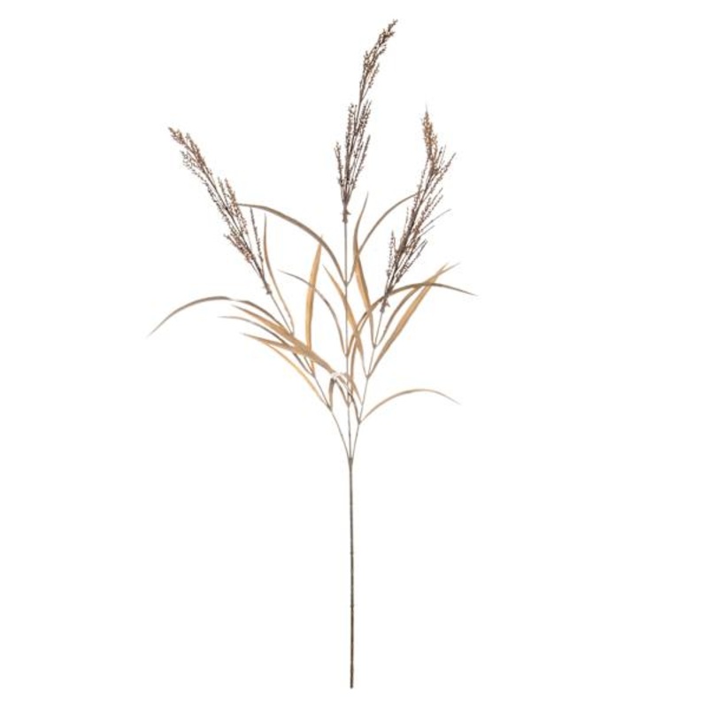 Brown Dried Heather Spray, 33″