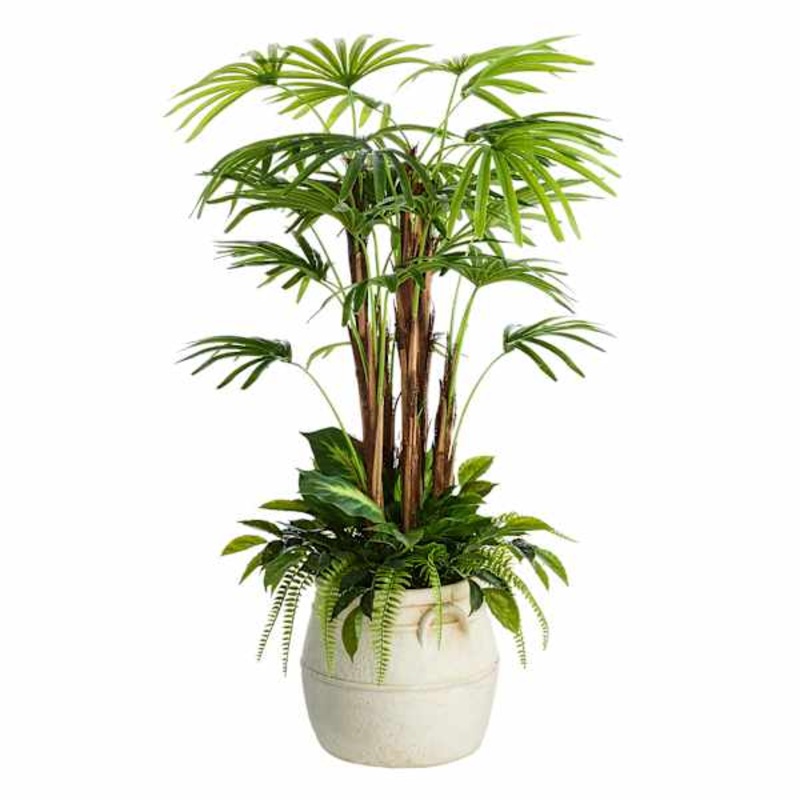 Coconut Tree in White Pot, 60″