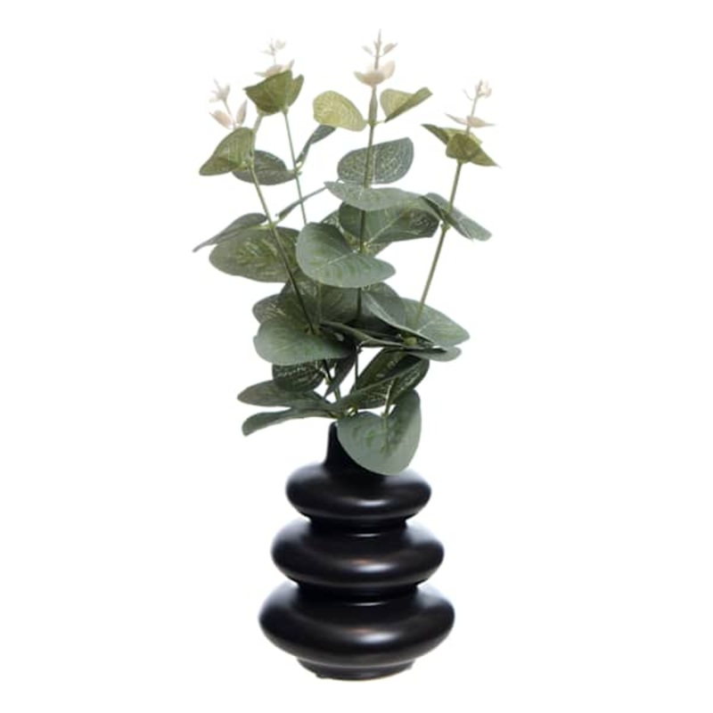 Eucalyptus in Black Ceramic Pot, 10″