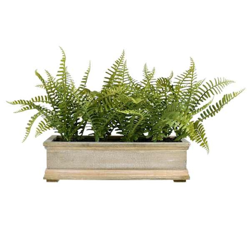 Fern Arrangement in Wood Planter, 11″