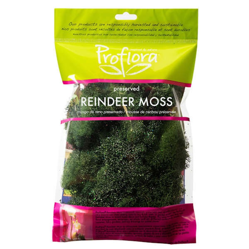 Glittered Forest Green Reindeer Moss
