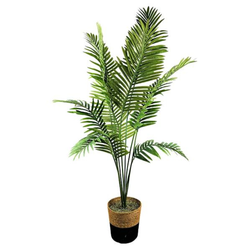 Palm Plant in Decorative Basket, 6′