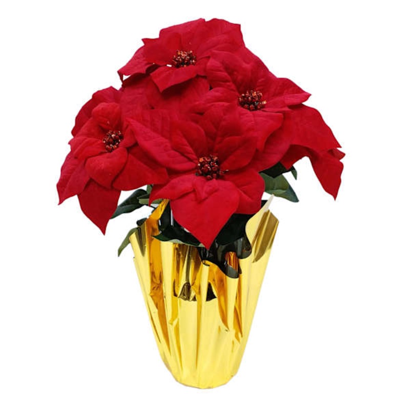 Red Poinsettia in Gold Foil Pot Large | Holiday Dcor | At Home