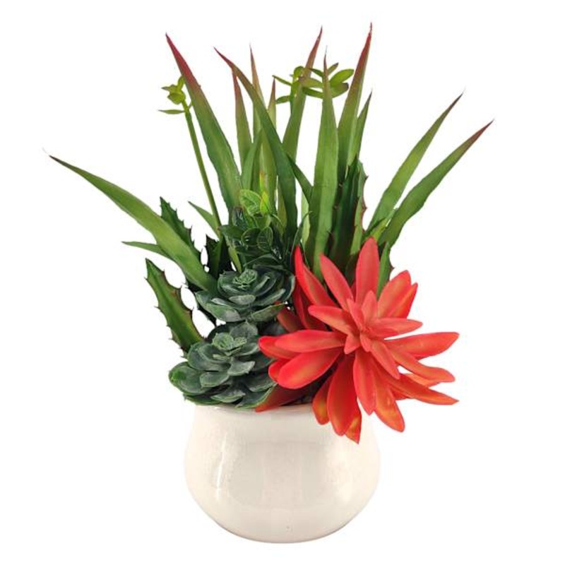 Succulent Garden with White Planter, 13″