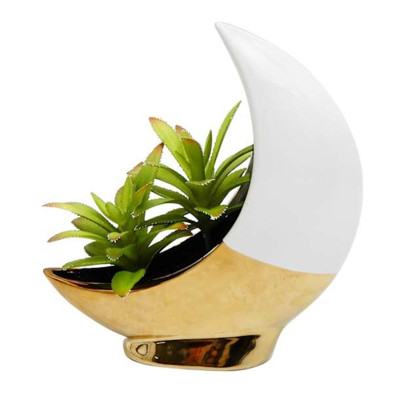 Succulents in Moon Vase, 8.5″