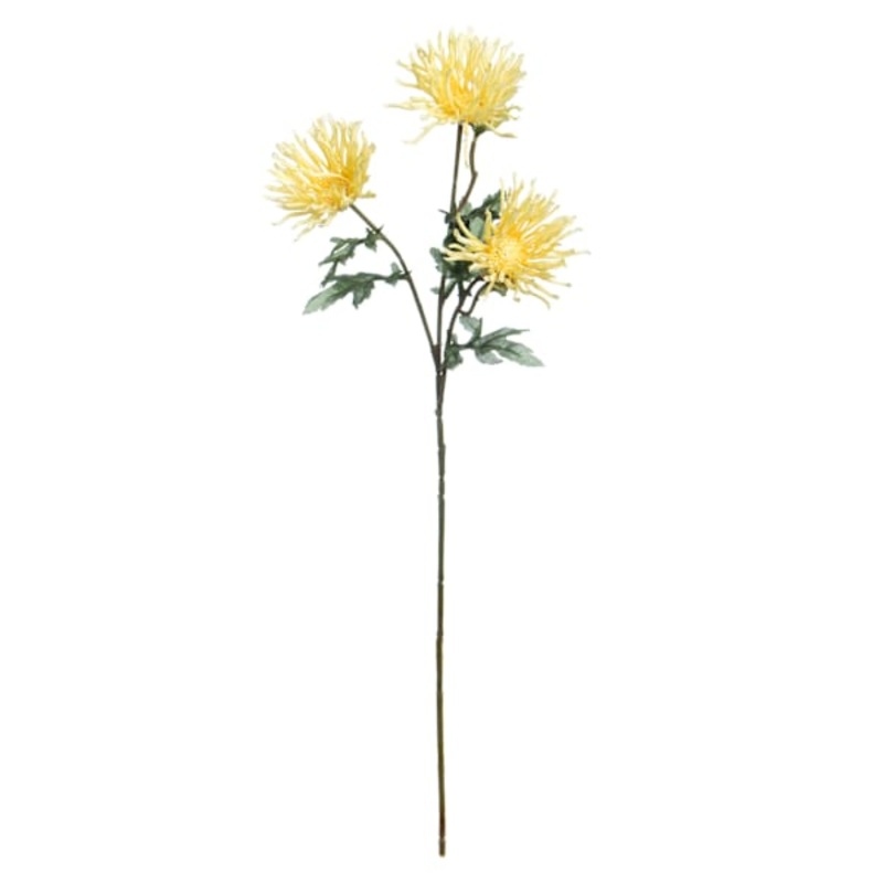 Yellow Aftrican Daisy Spray, 29″