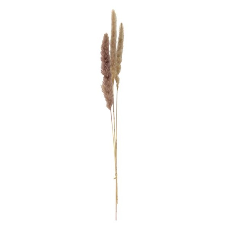 3-Piece Natural Mini Pampas Grass, 29″