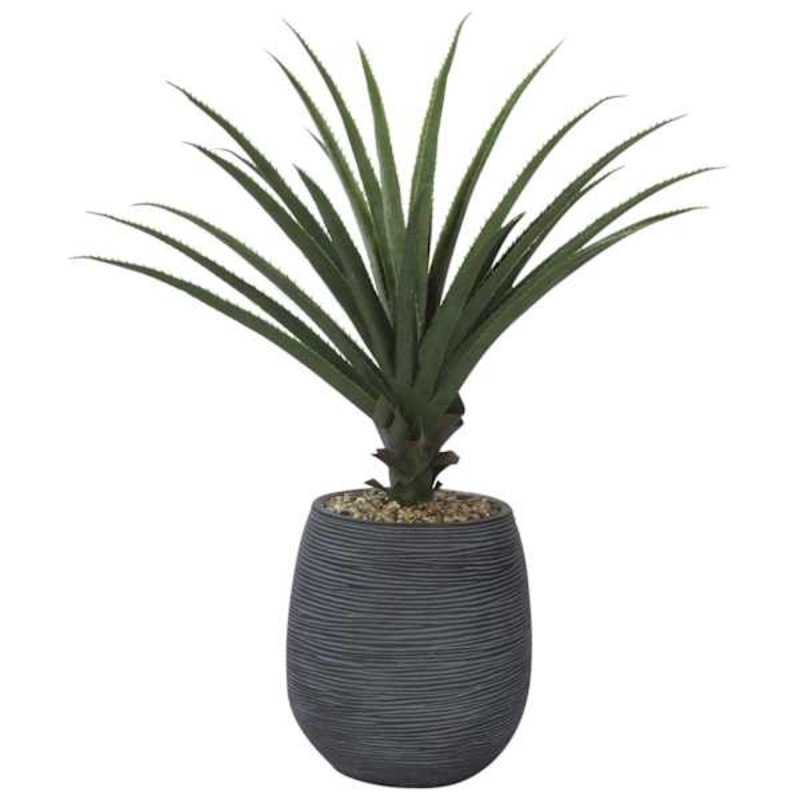 Aloe Vera with Textured Black Planter, 41″