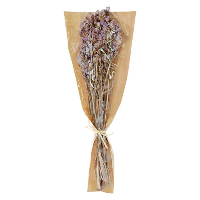 Dried Status Bundle, 23″