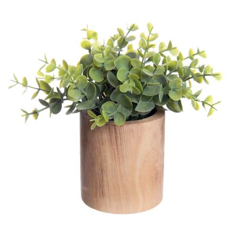 Eucalyptus Spray in Wooden Pot, 8″