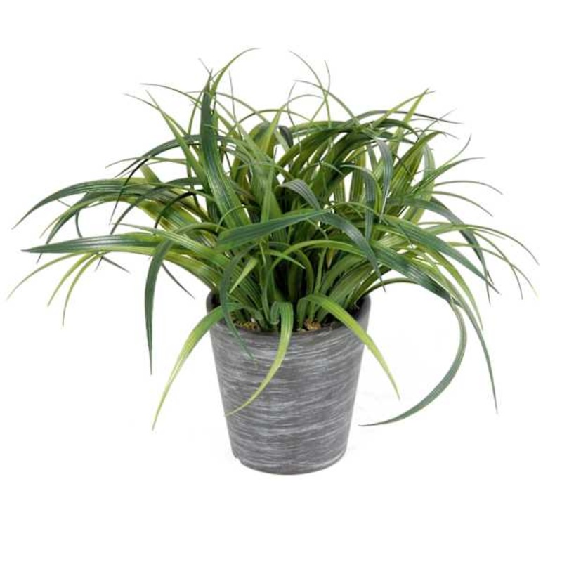 Grass Plant Arrangement with Planter, 8″