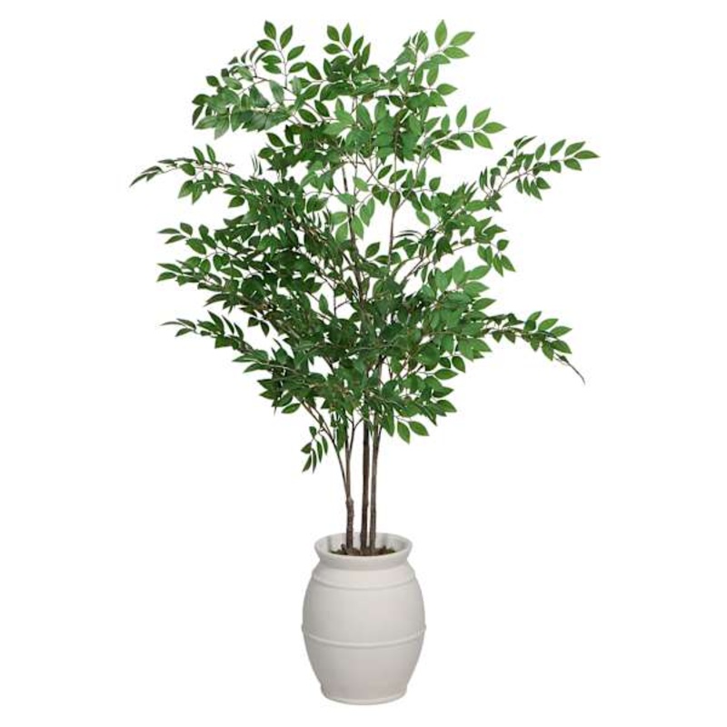 Green Leaf Tree in Magnesia Pot, 60″