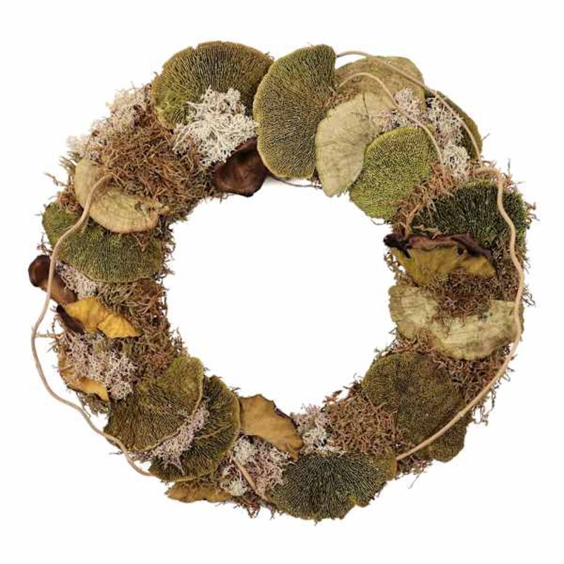 Honeybloom Dried Mushroom Wreath, 18″