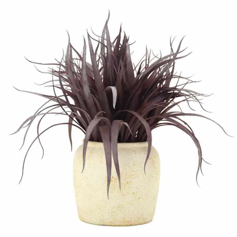 Honeybloom Grass Bundle in Cement Vessel, 11″