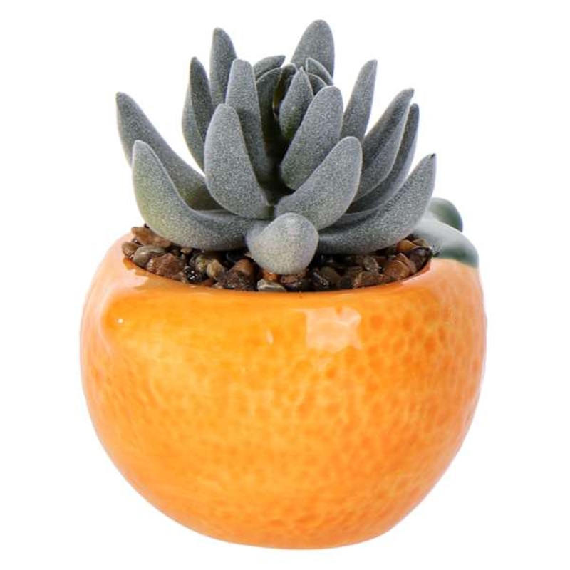 Mini Succulent in Orange Vase