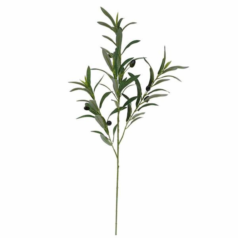 Olive Branch Stem, 30″