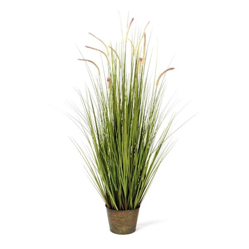 Potted Dune Grass Bush, 60″