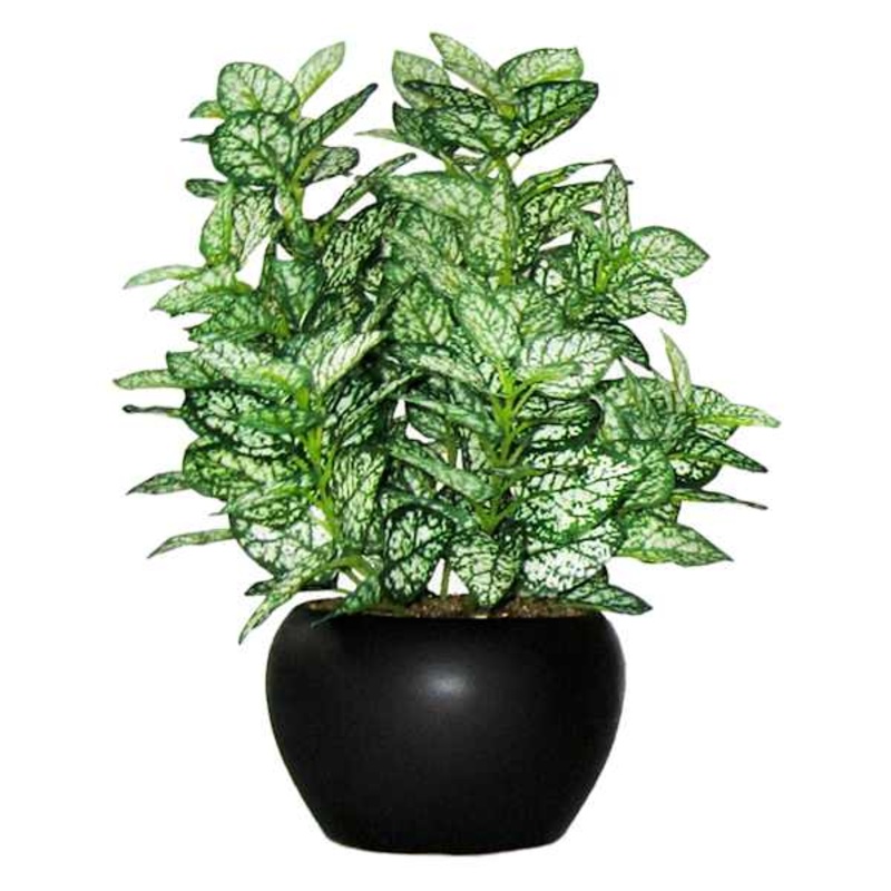 Potted Greenery Plant, 10″