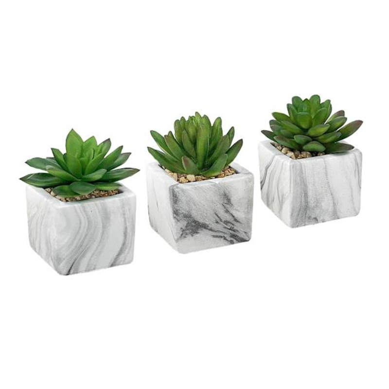 Succulent in Marble-Look Cement Pot, 4″