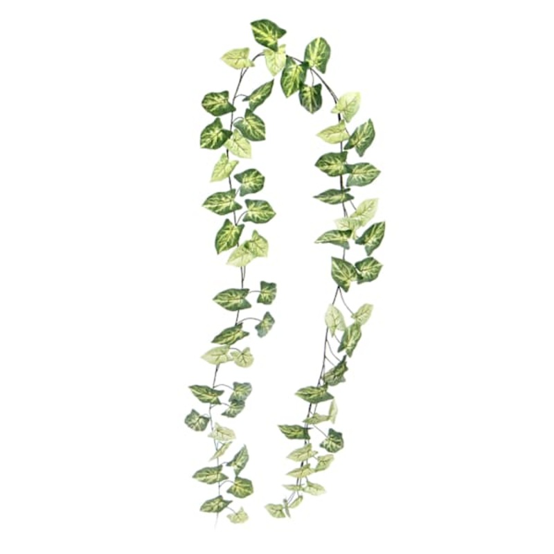 Symgonium Garland, 72″