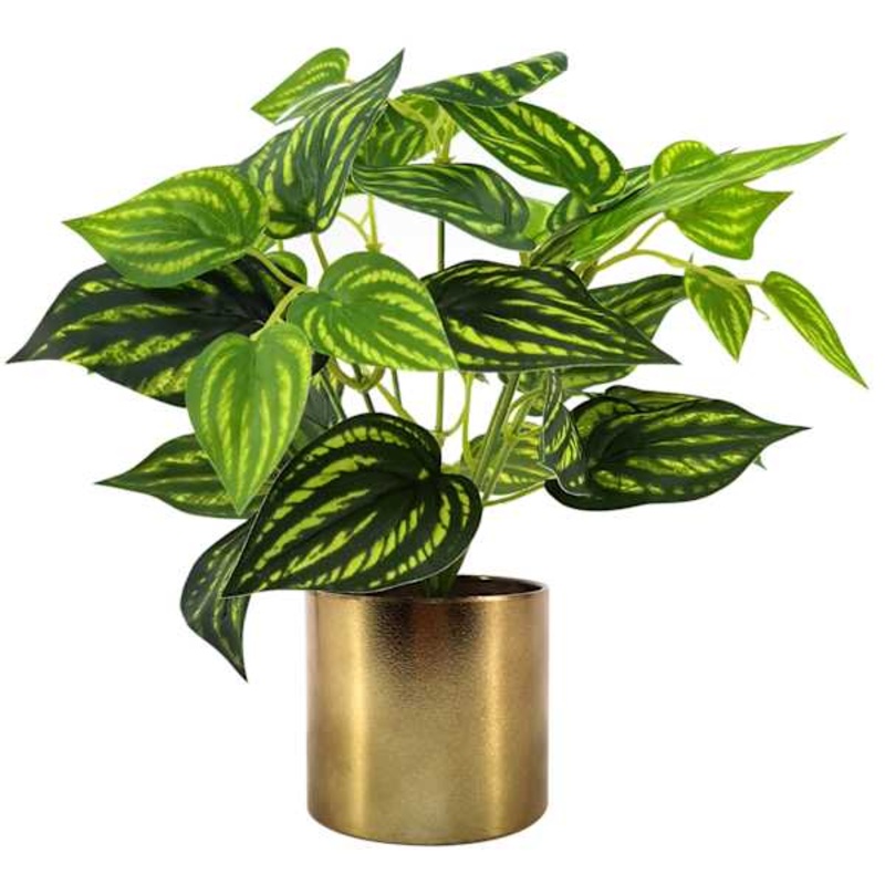 Variegated Leaves in Metallic Pot, 10″