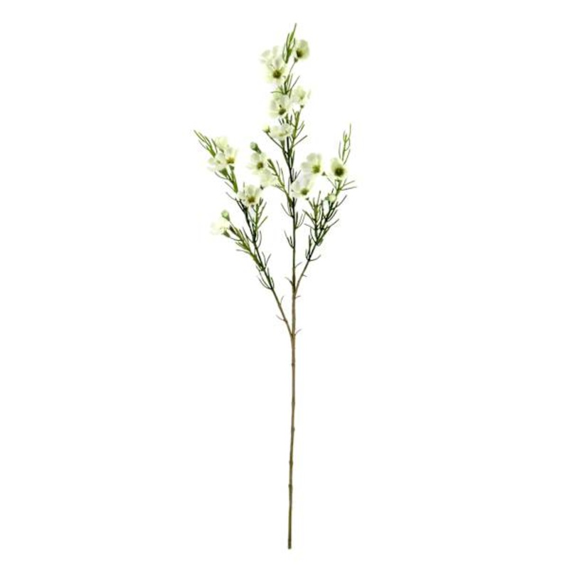 Willow Crossley White Waxflower Floral Spray, 30″