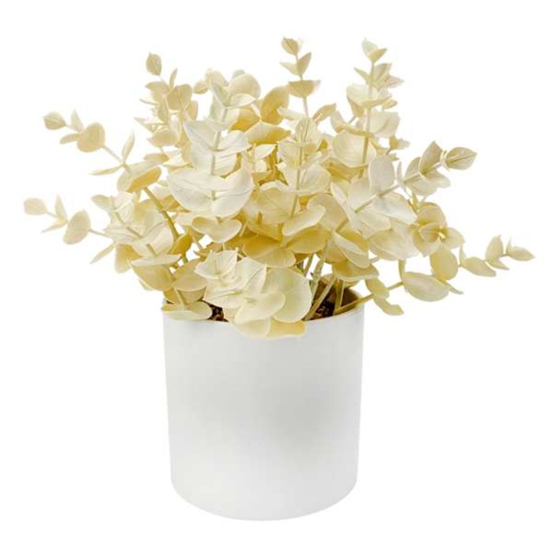 Bleached Eucalyptus in Melamine Pot, 9″