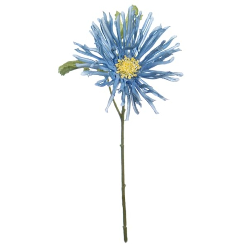Blue African Daisy Pick, 11″