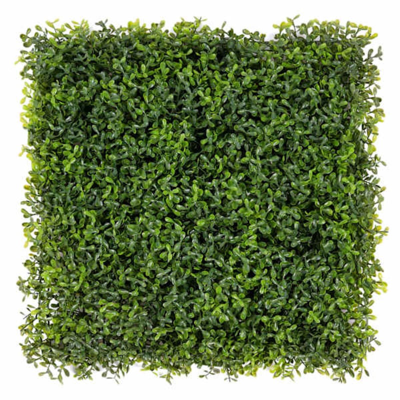 Boxwood Mat, 20″