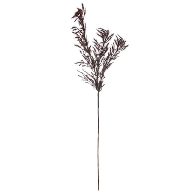 Crosby St. Maroon Pampas Grass Spray, 42″