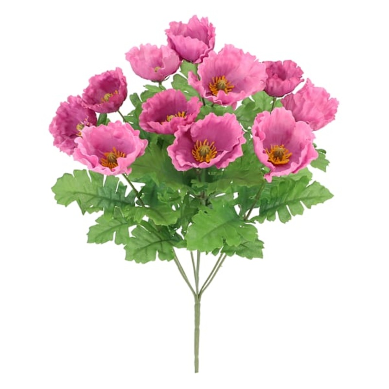 Dark Pink Poppy Bush, 18″