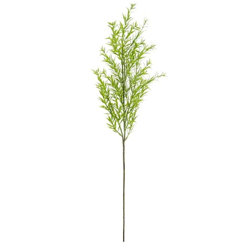 Dill Stem, 27″