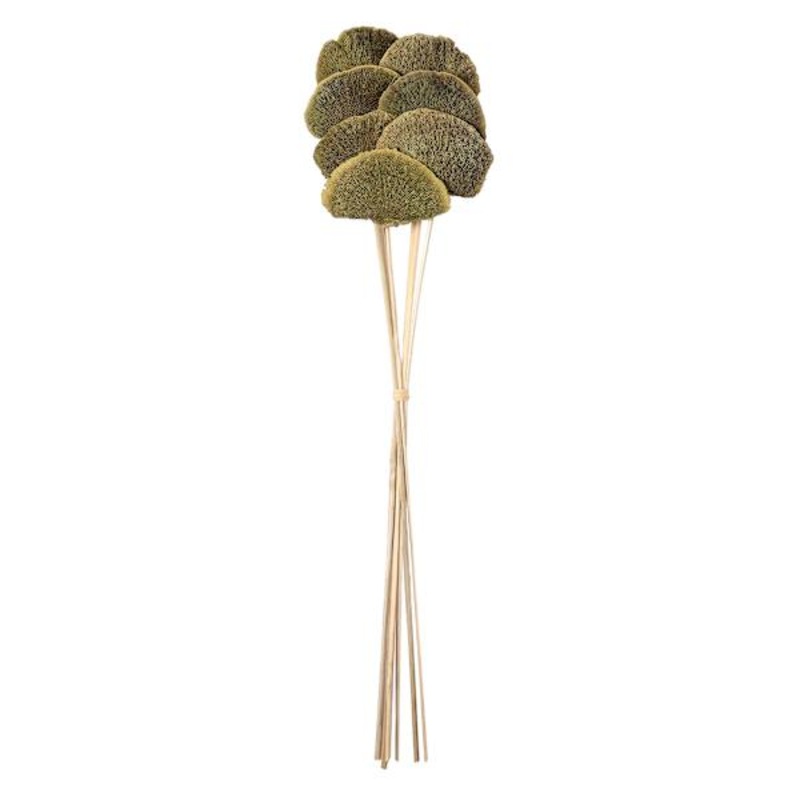 Dried Mushroom on Stem, 28″