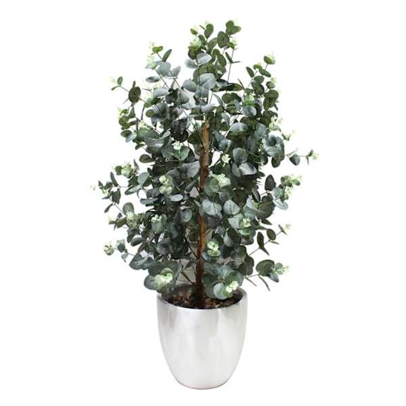 Eura in Cement Pot, 39″