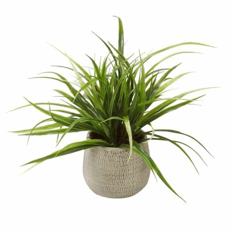 Grass Plant with Textured Planter, 11″