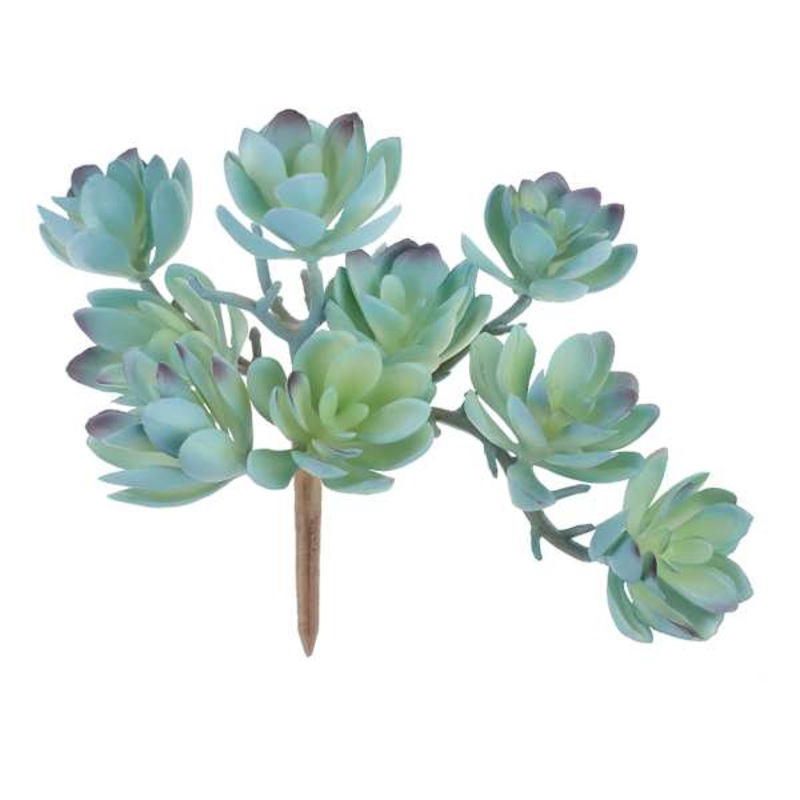 Green Echeveria Pick, 5″