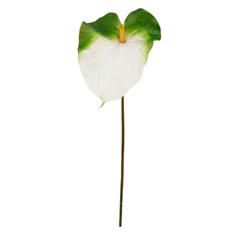 Green & White Anthurium Stem, 33.5″