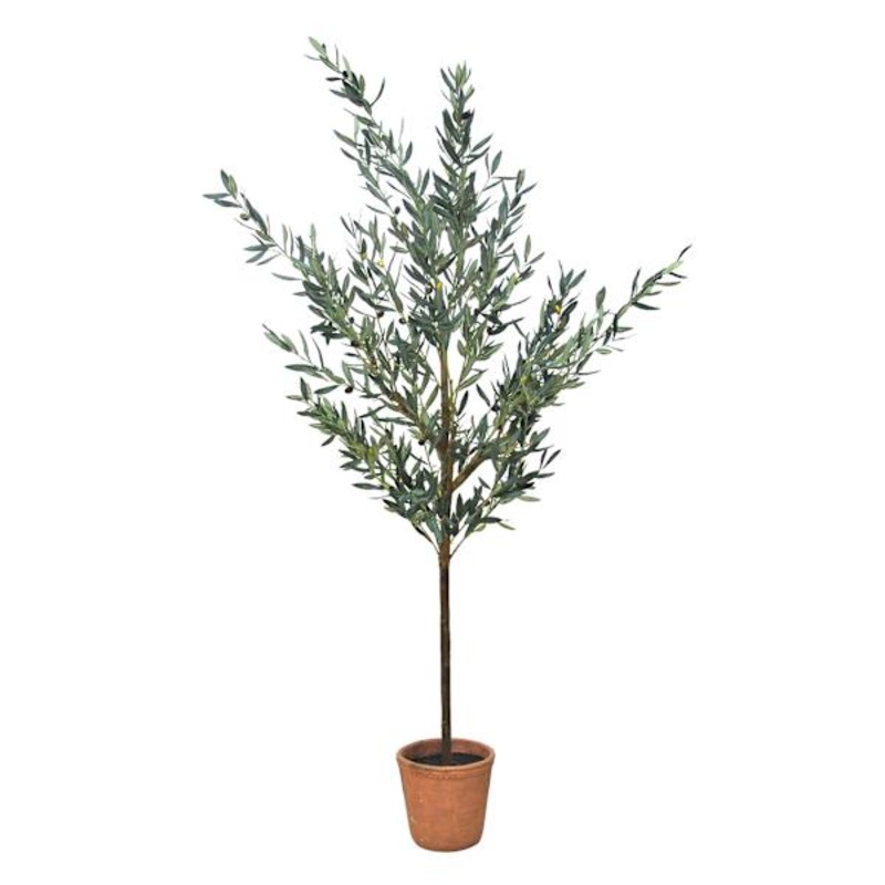 Honeybloom Olive Tree in Melamine Vessel, 72″
