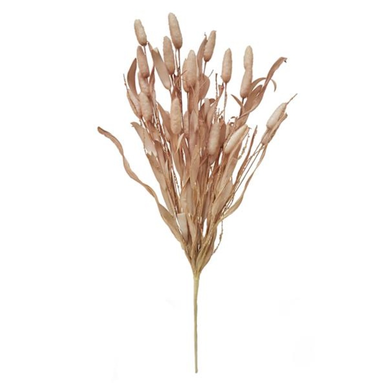 Honeybloom Tan Bunny Tail Bush, 22″