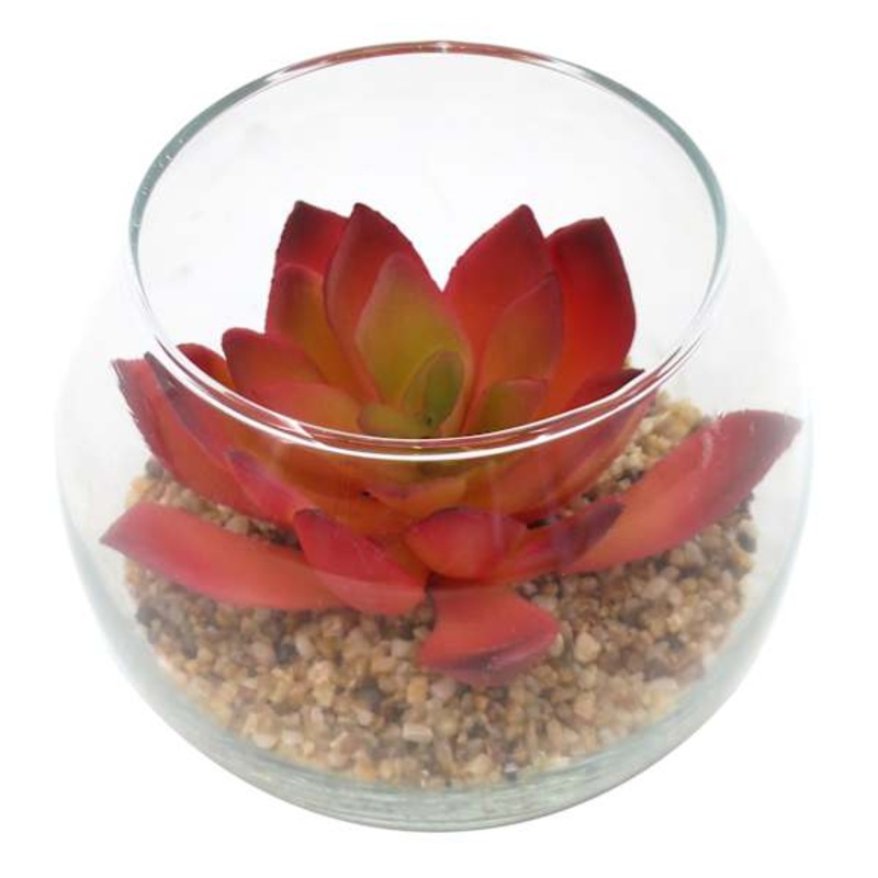 Light Red Echeveria Succulent Glass Vase, 3.5″