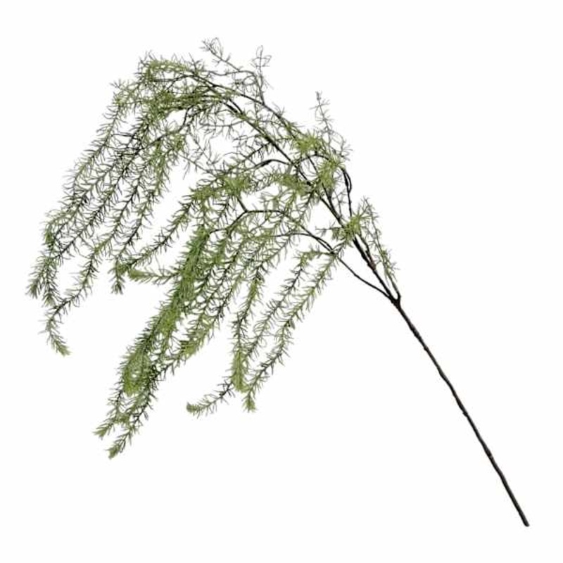 Moss Spray Decoration | At Home