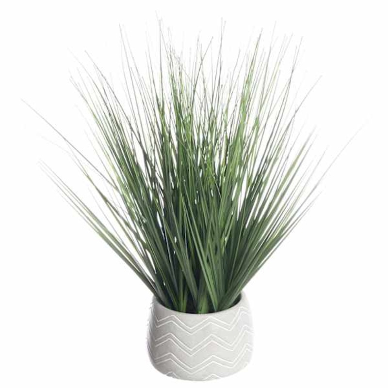 Onion Grass Plant with Cement Planter, 16″