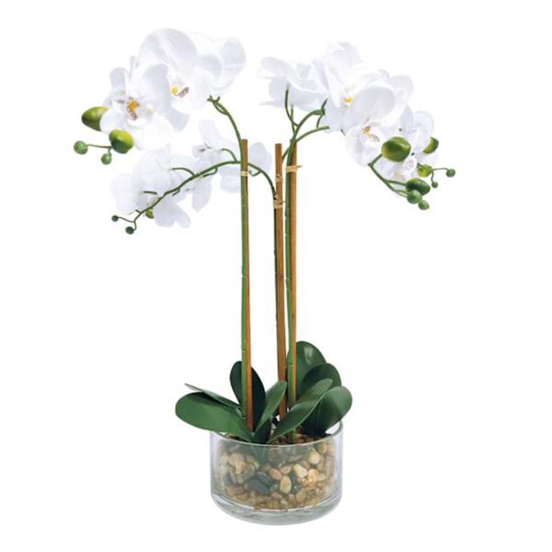 Orchid Flower with Glass Planter, 21″