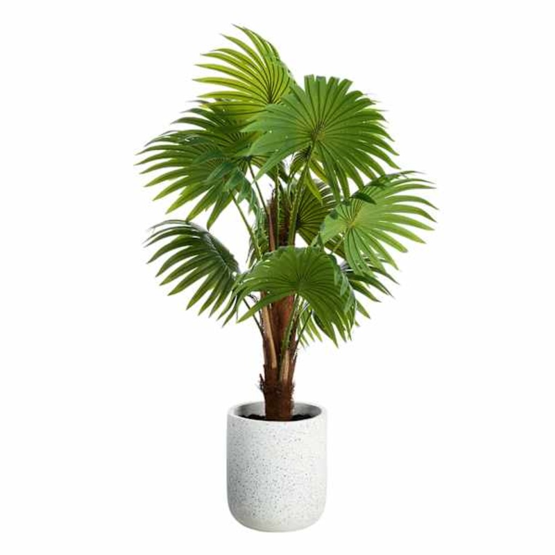 Palm Tree, 50″