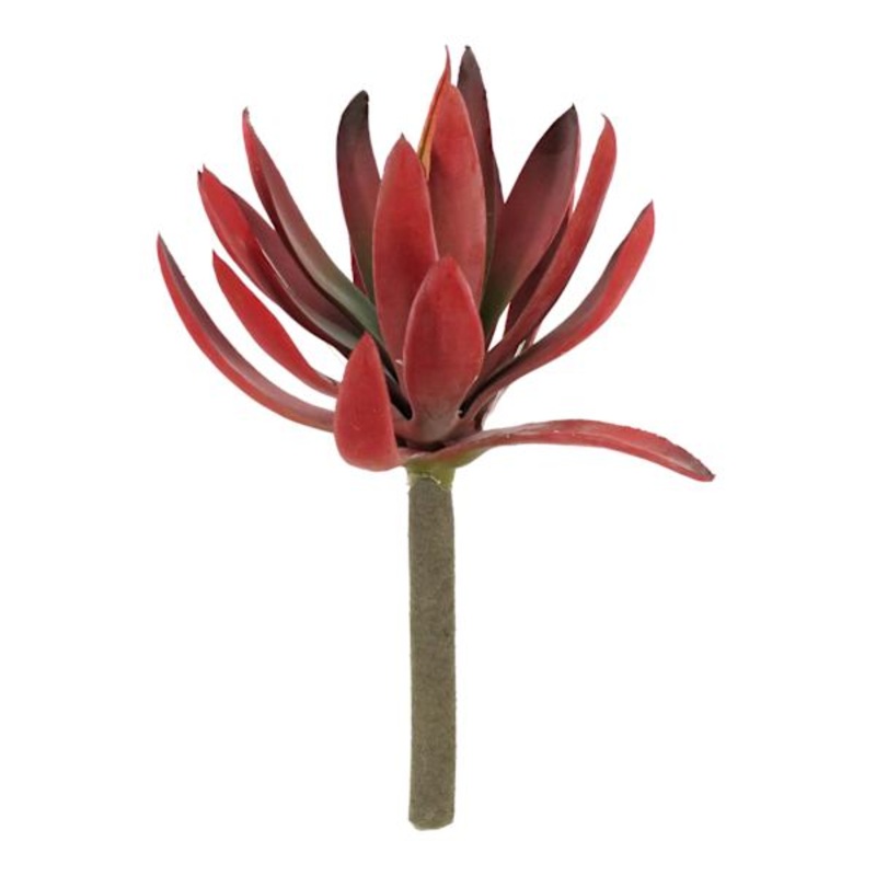 Red Agave Pick, 9″