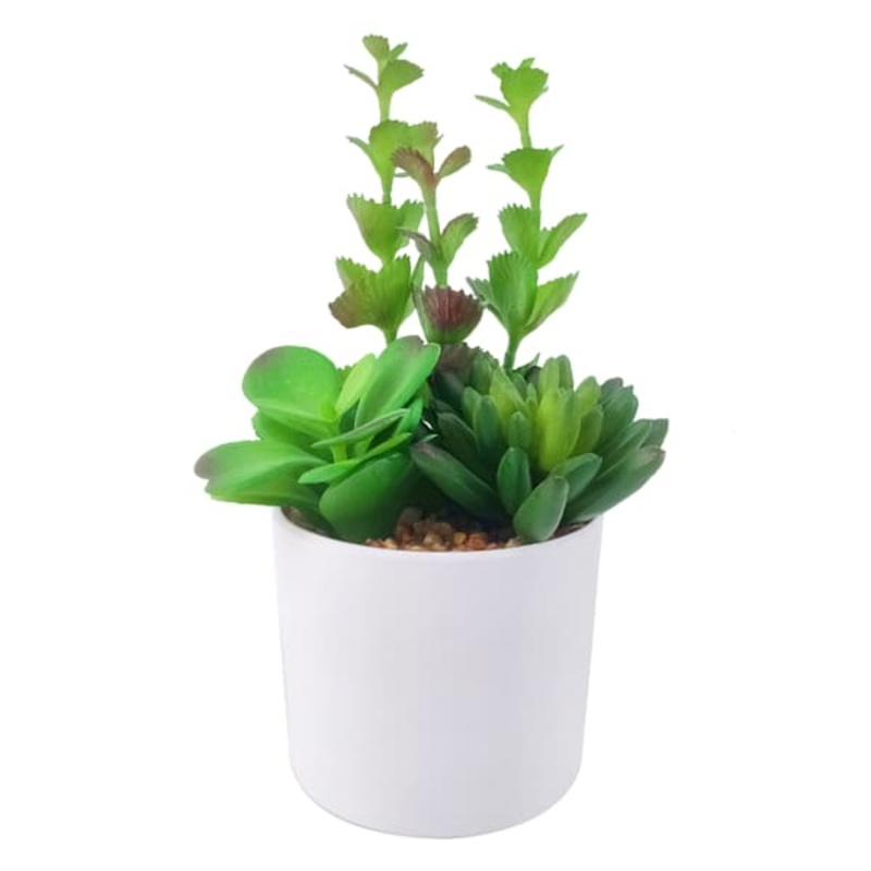 Succulent Arrangement in Melamine Pot, 7.5″