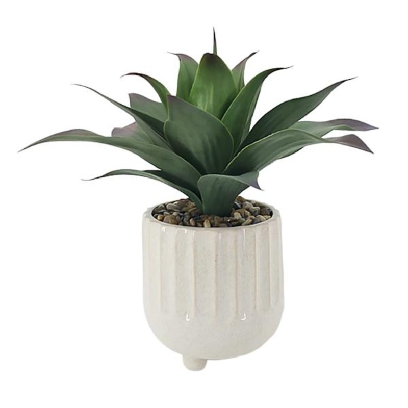 Ty Pennington Succulent in Footed Ceramic Pot, 17″