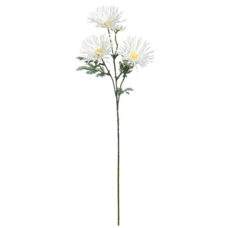 White African Daisy Spray, 29″
